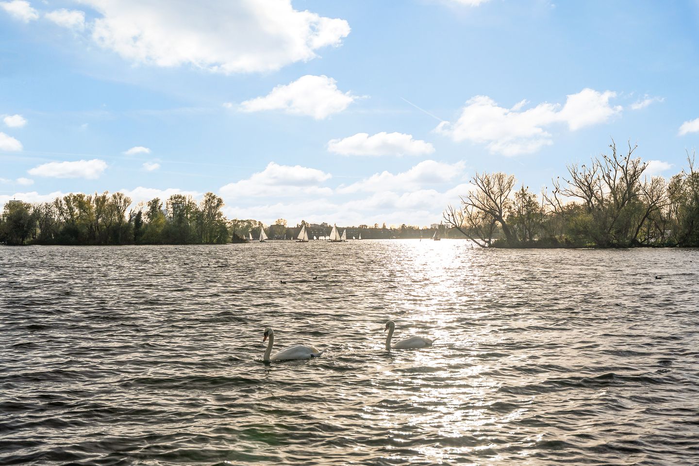 Foto 55 van Prinses Beatrixplantsoen 7-C