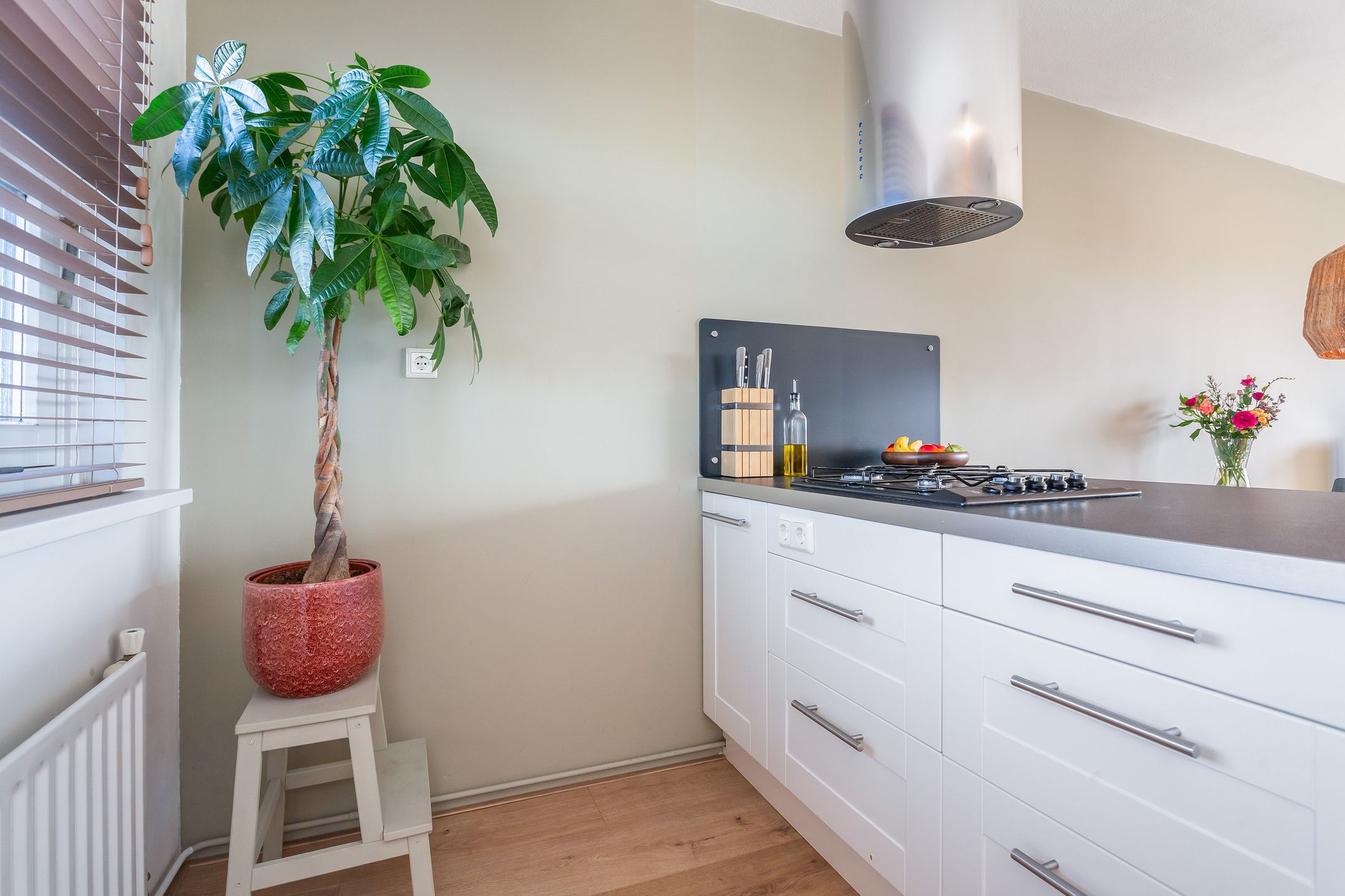 Foto 9 van Lodewijk Pincoffsweg 69