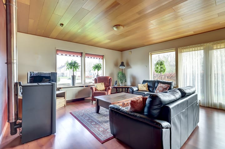 Foto 7 van Meseame 24