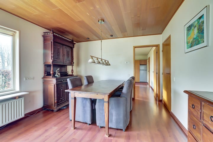 Foto 12 van Meseame 24