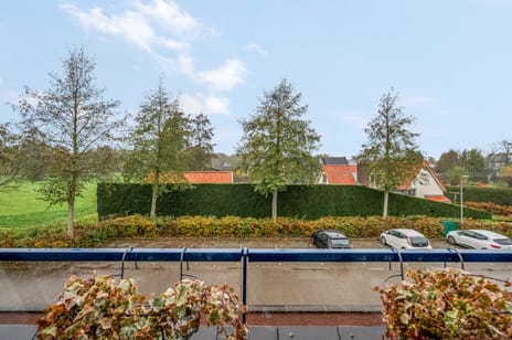 Schoneveld 95 tertiary image