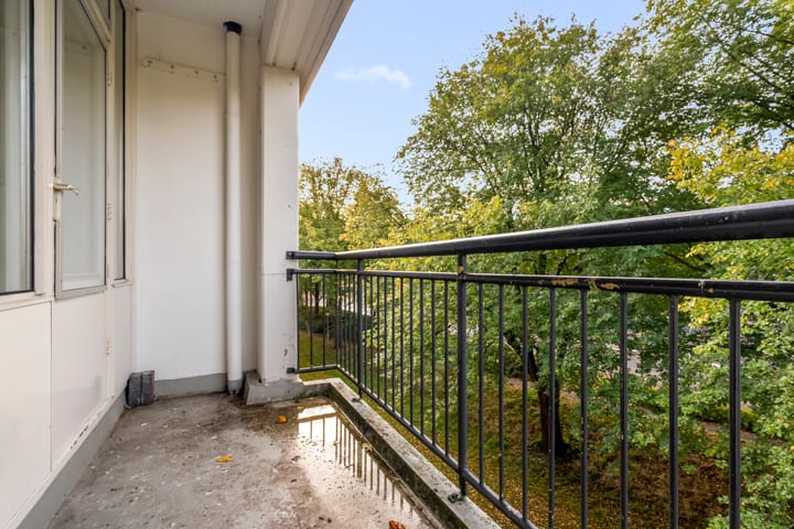 Foto 20 van Savelsbos 20