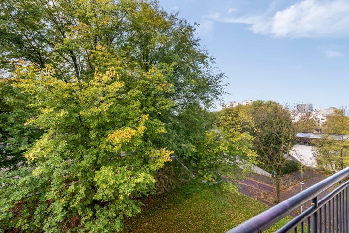 Foto 21 van Savelsbos 20