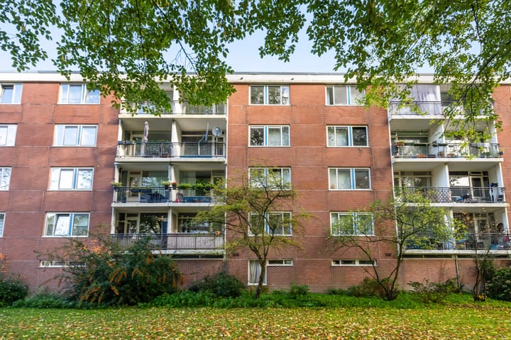 Foto 23 van Savelsbos 20