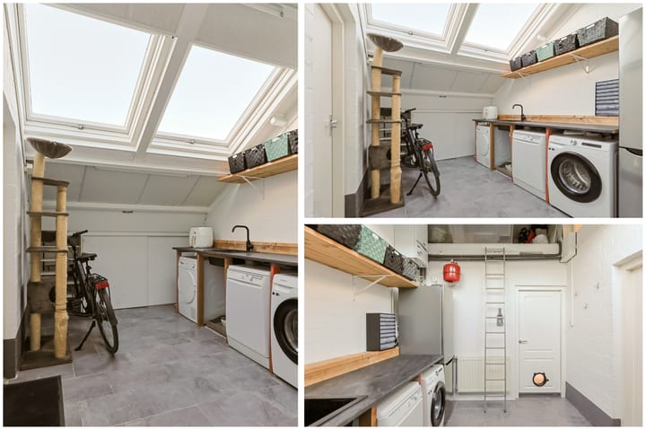 Photo 35 of Jan Switzerpad 6