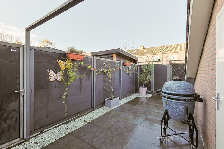 Photo 42 of Jan Switzerpad 6