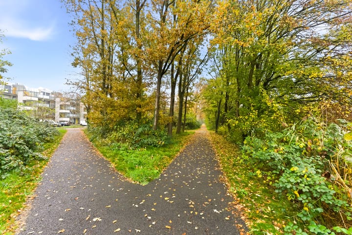 Foto 47 van Strijkmolenstraat 57