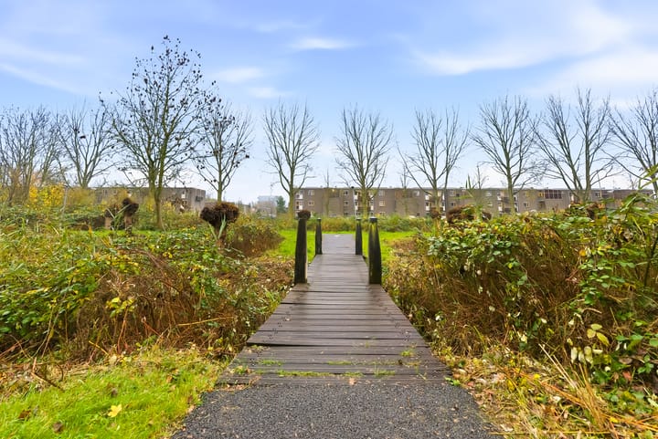 Foto 49 van Strijkmolenstraat 57