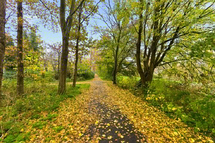 Foto 50 van Strijkmolenstraat 57