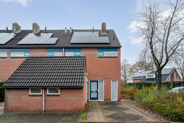 Foto 2 van Majoraan 2