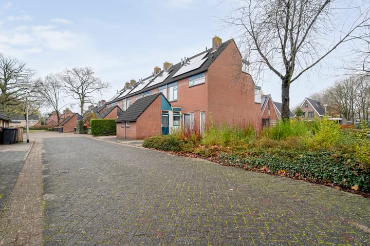 Foto 3 van Majoraan 2