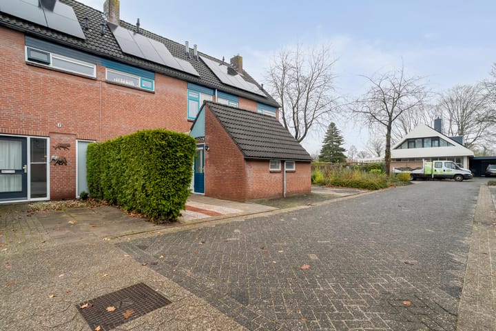 Foto 4 van Majoraan 2