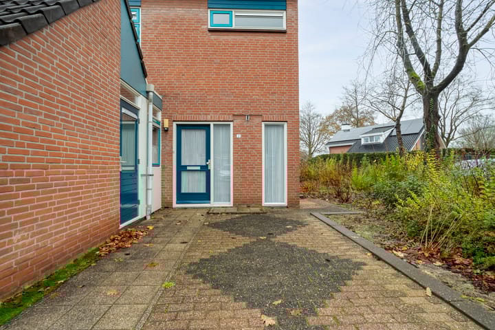 Foto 5 van Majoraan 2