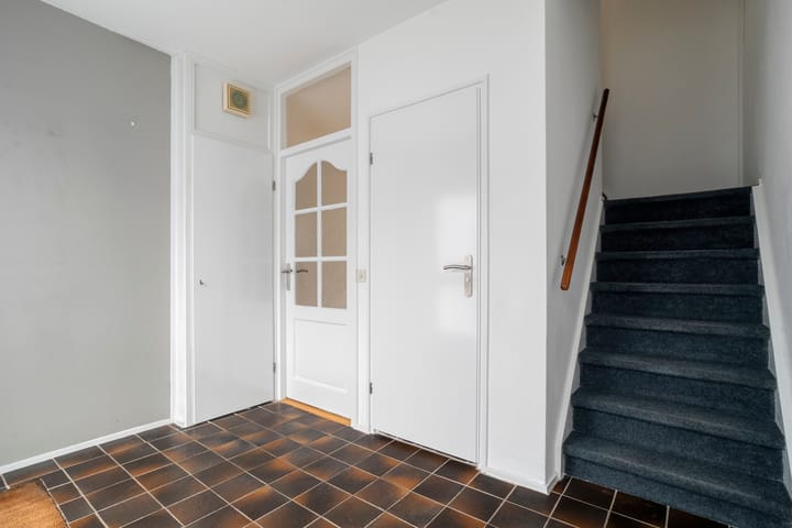 Foto 6 van Majoraan 2