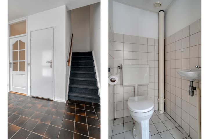 Foto 7 van Majoraan 2