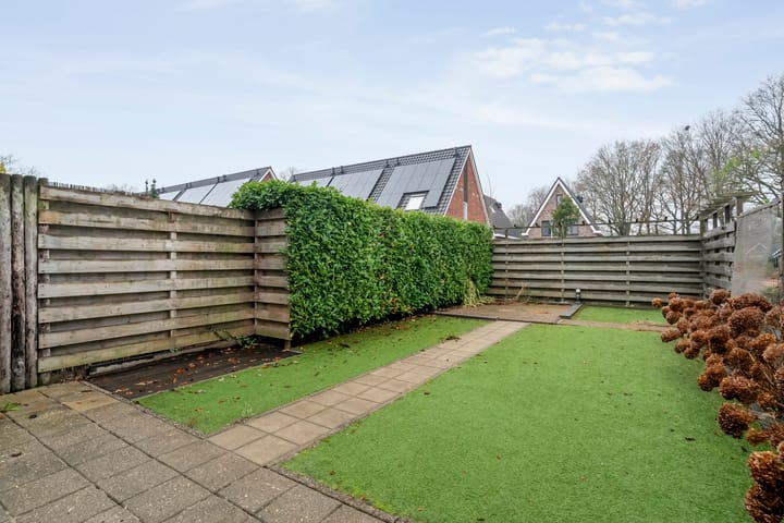 Foto 43 van Majoraan 2