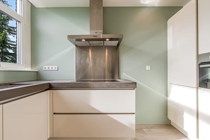 Foto 14 van Terpmeent 40