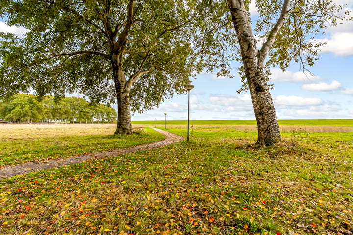 Foto 33 van Terpmeent 40