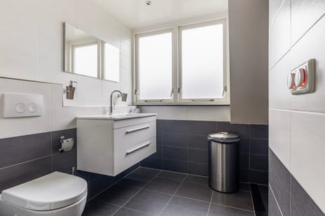 Ribes 9 tertiary image