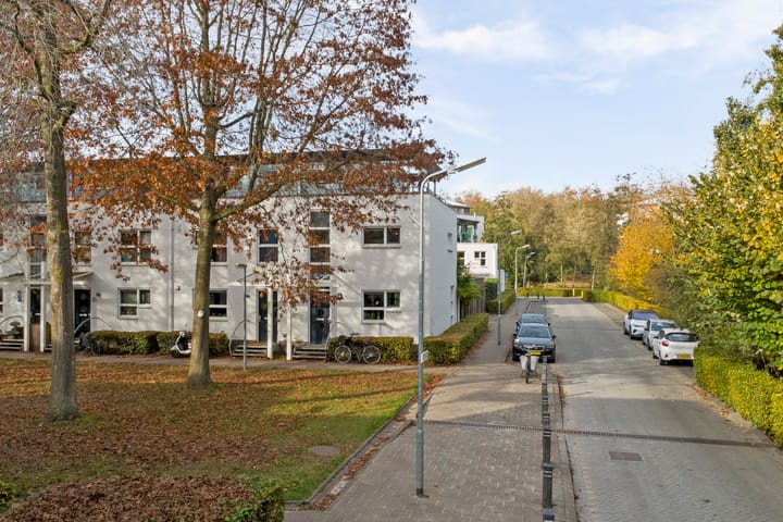 Foto 50 van Concordialaan 53