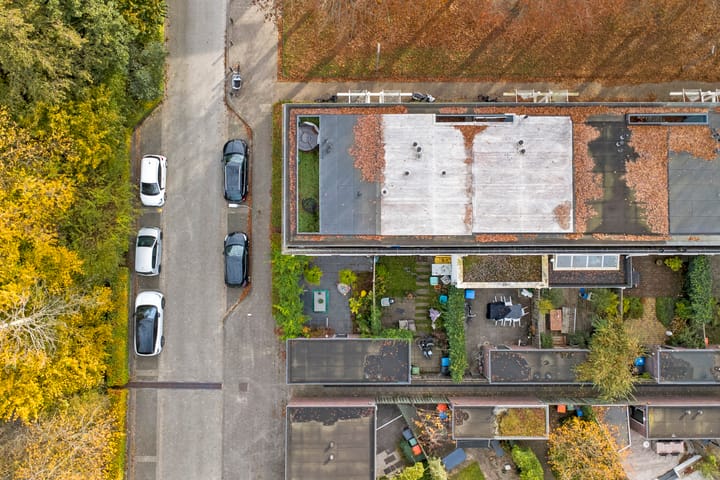 Foto 53 van Concordialaan 53