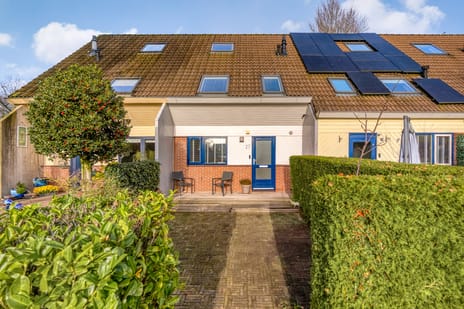 undefined main image