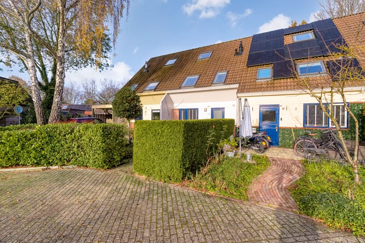 Foto 2 van Hagedis 27