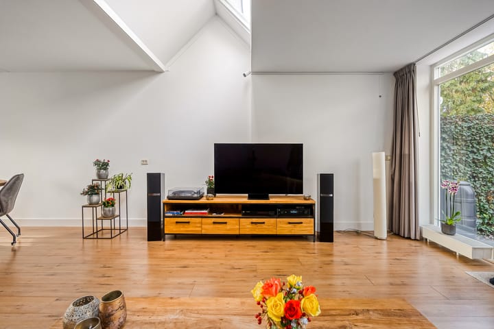 Foto 7 van Hagedis 27