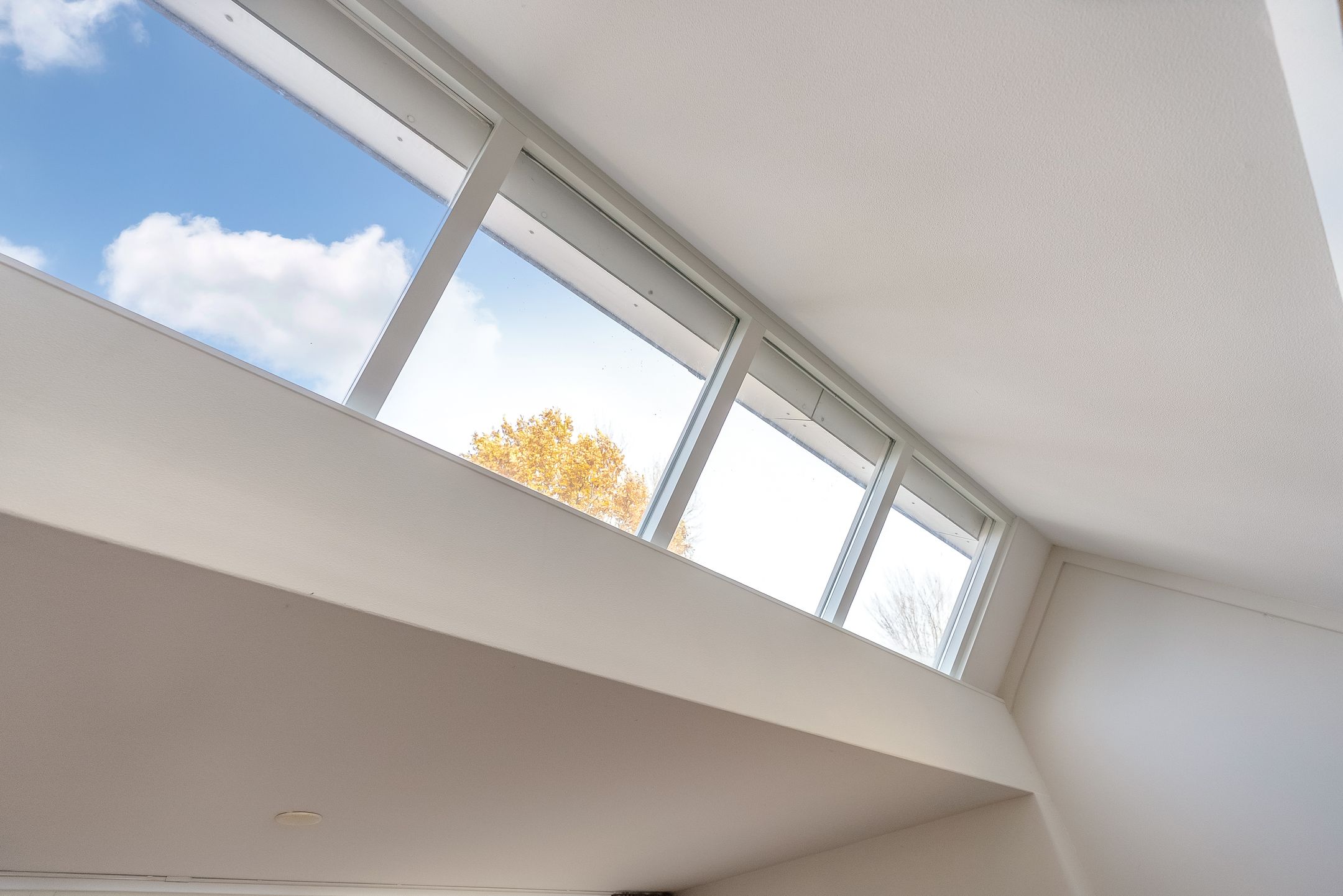 Foto 12 van Hagedis 27