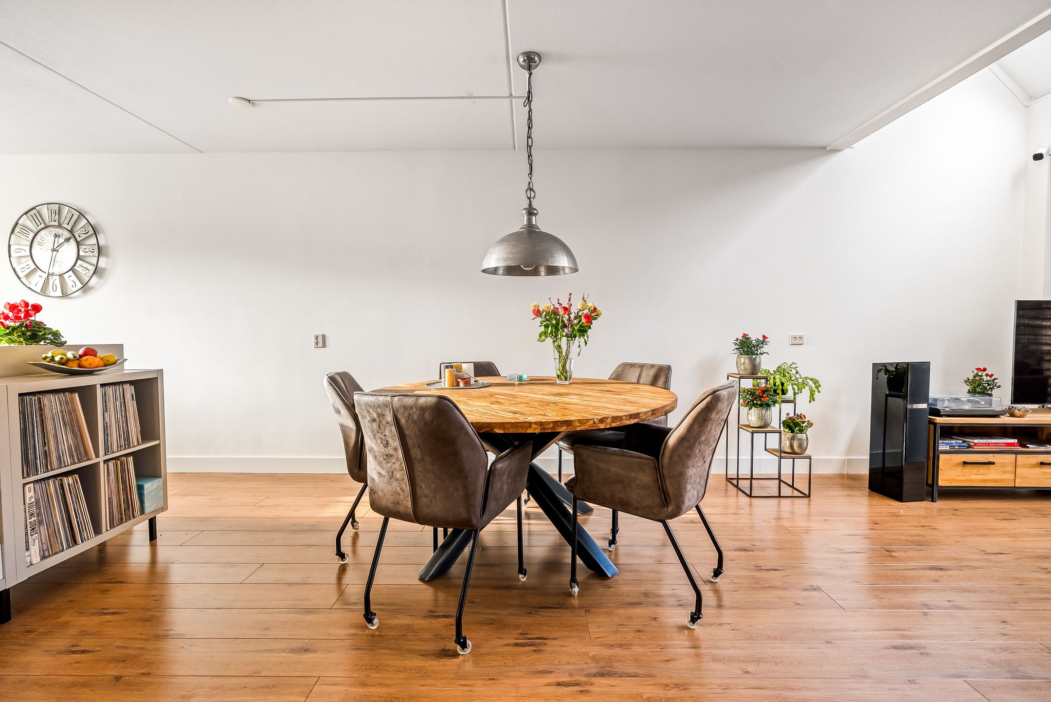 Foto 15 van Hagedis 27