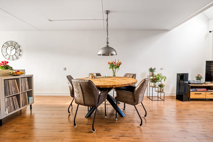 Foto 15 van Hagedis 27