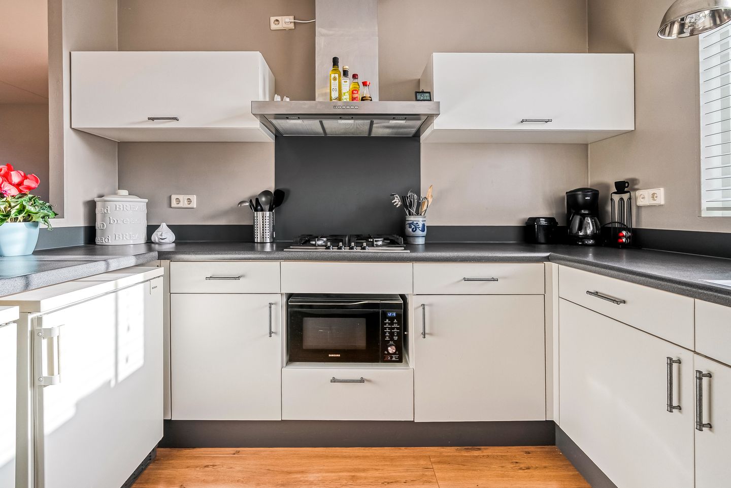 Foto 20 van Hagedis 27