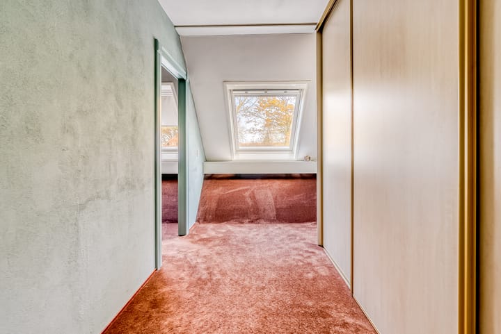 Foto 23 van Hagedis 27