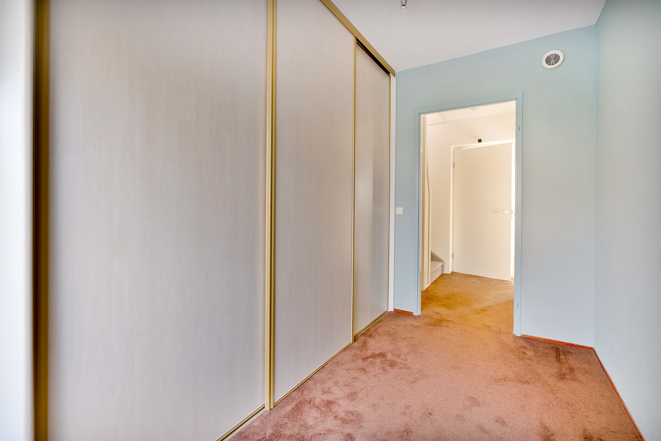 Foto 24 van Hagedis 27