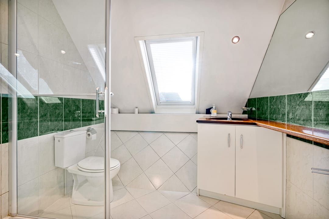 Foto 28 van Hagedis 27