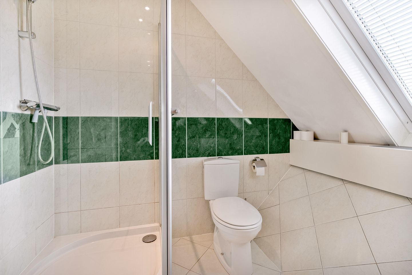 Foto 29 van Hagedis 27