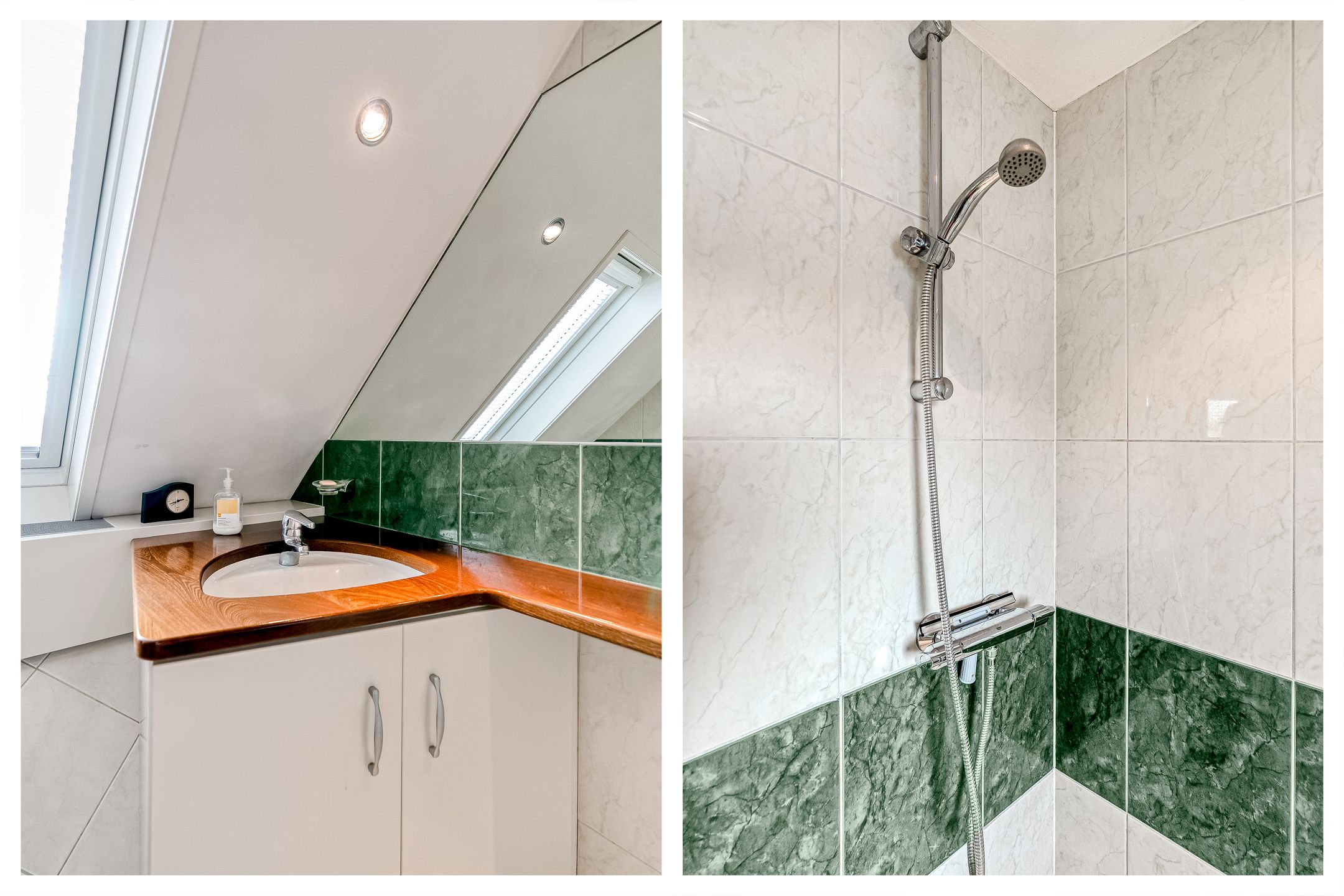 Foto 30 van Hagedis 27