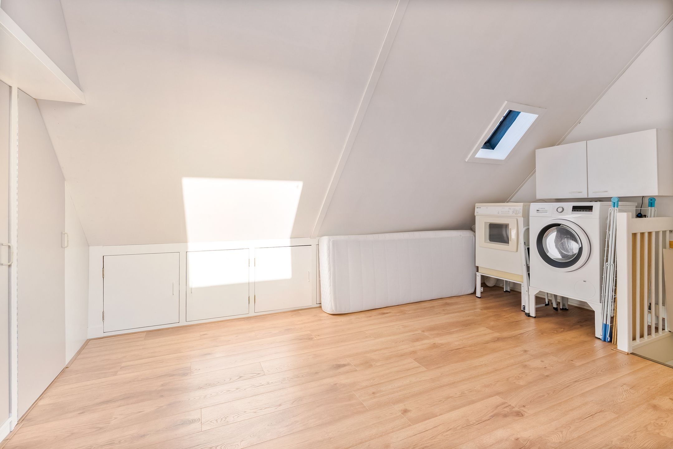 Foto 33 van Hagedis 27