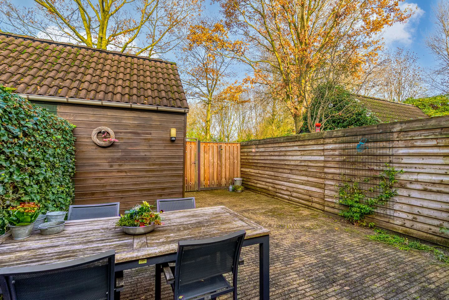 Foto 34 van Hagedis 27