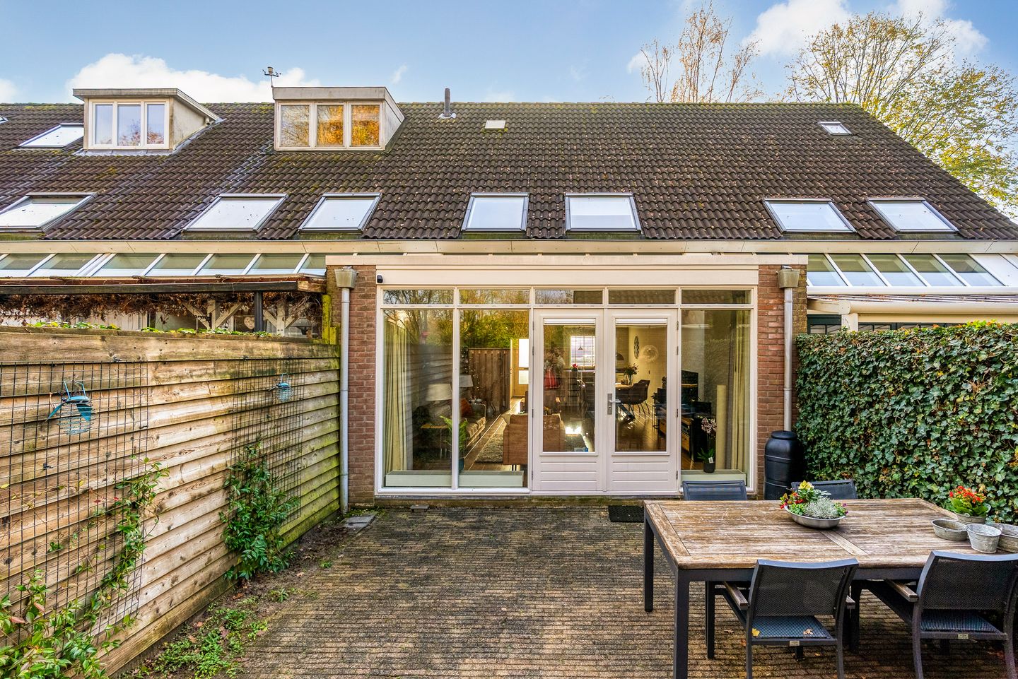 Foto 35 van Hagedis 27