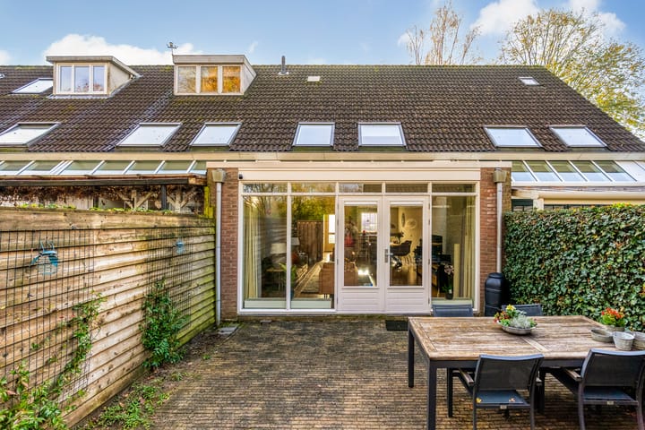 Foto 35 van Hagedis 27