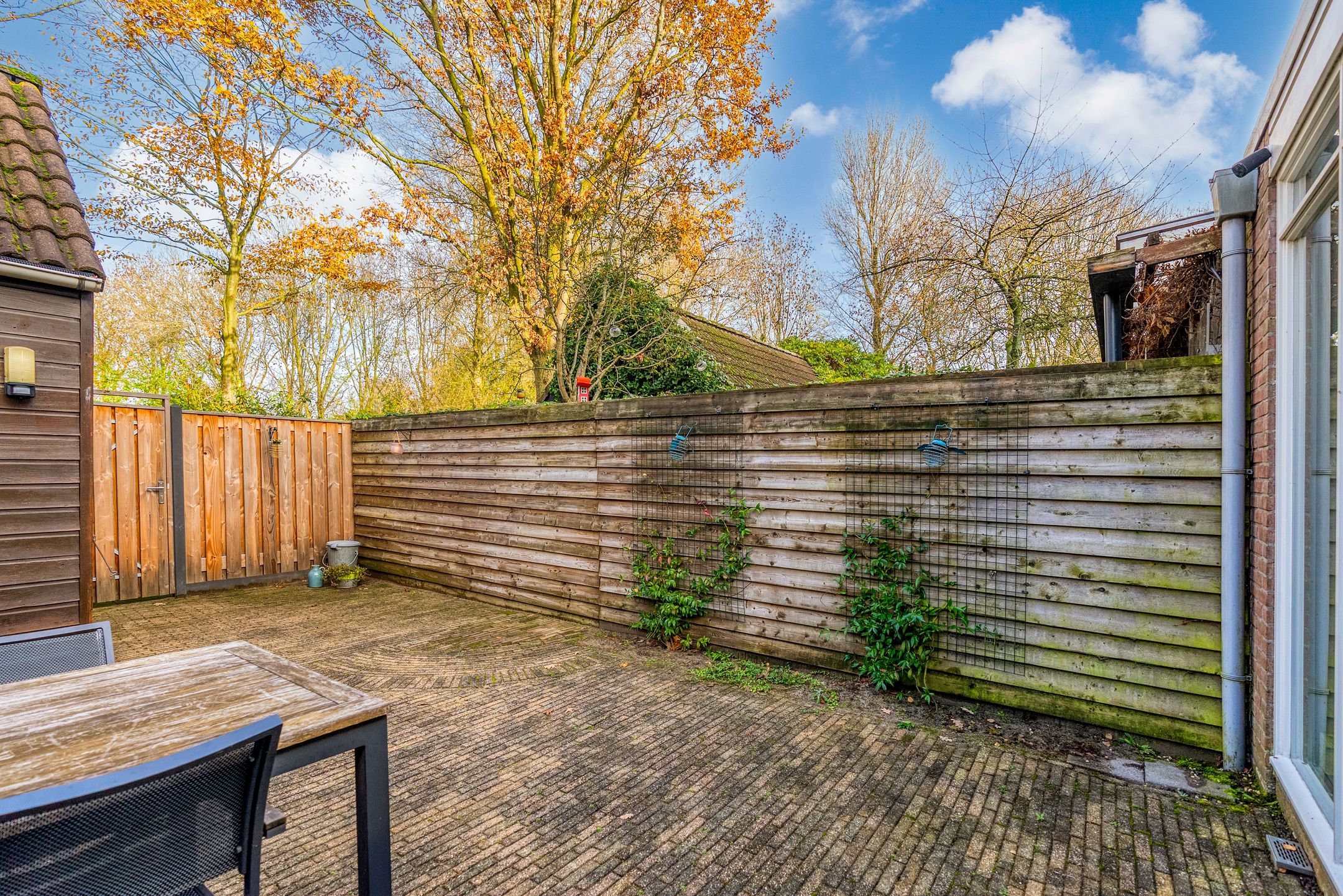 Foto 36 van Hagedis 27