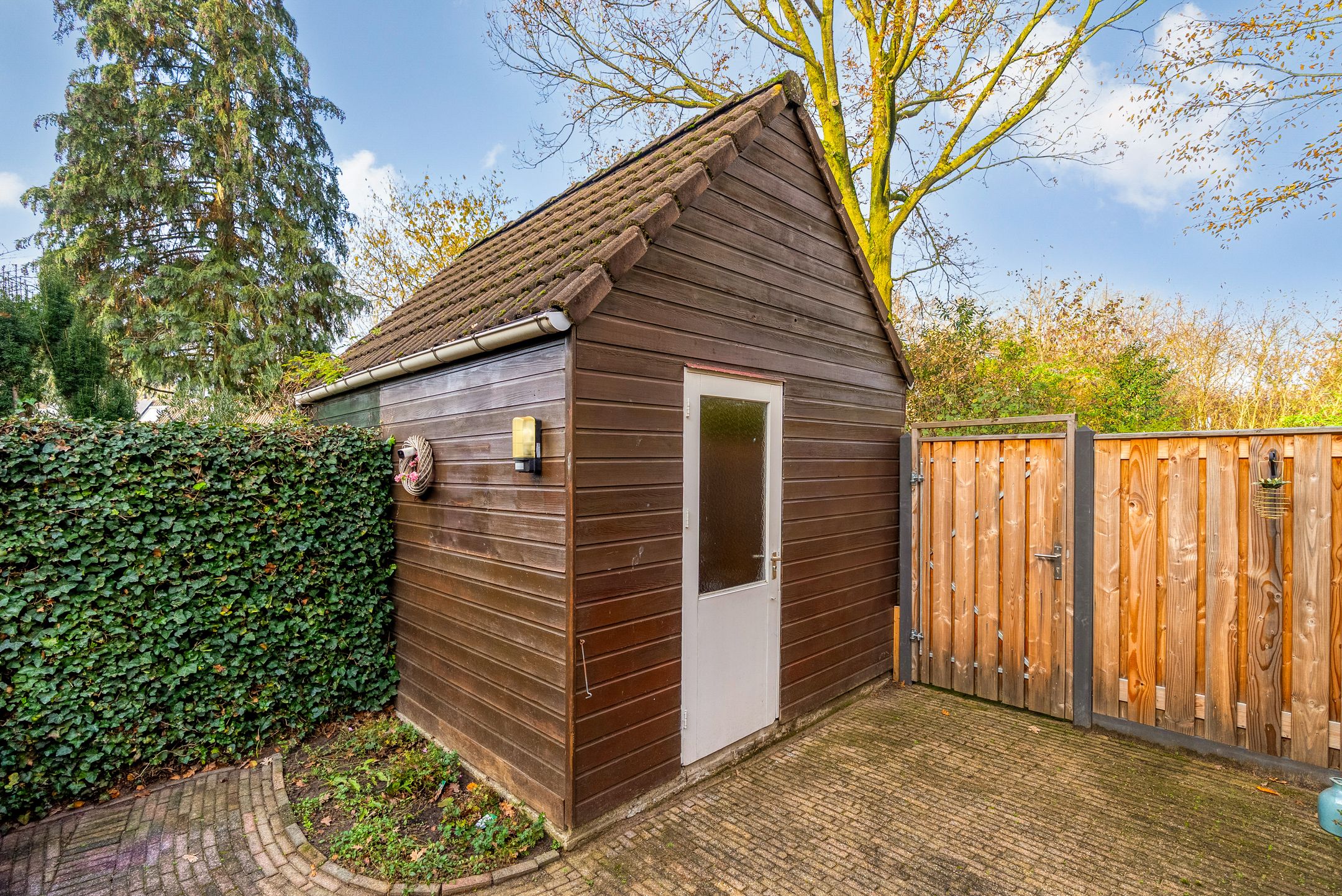 Foto 39 van Hagedis 27