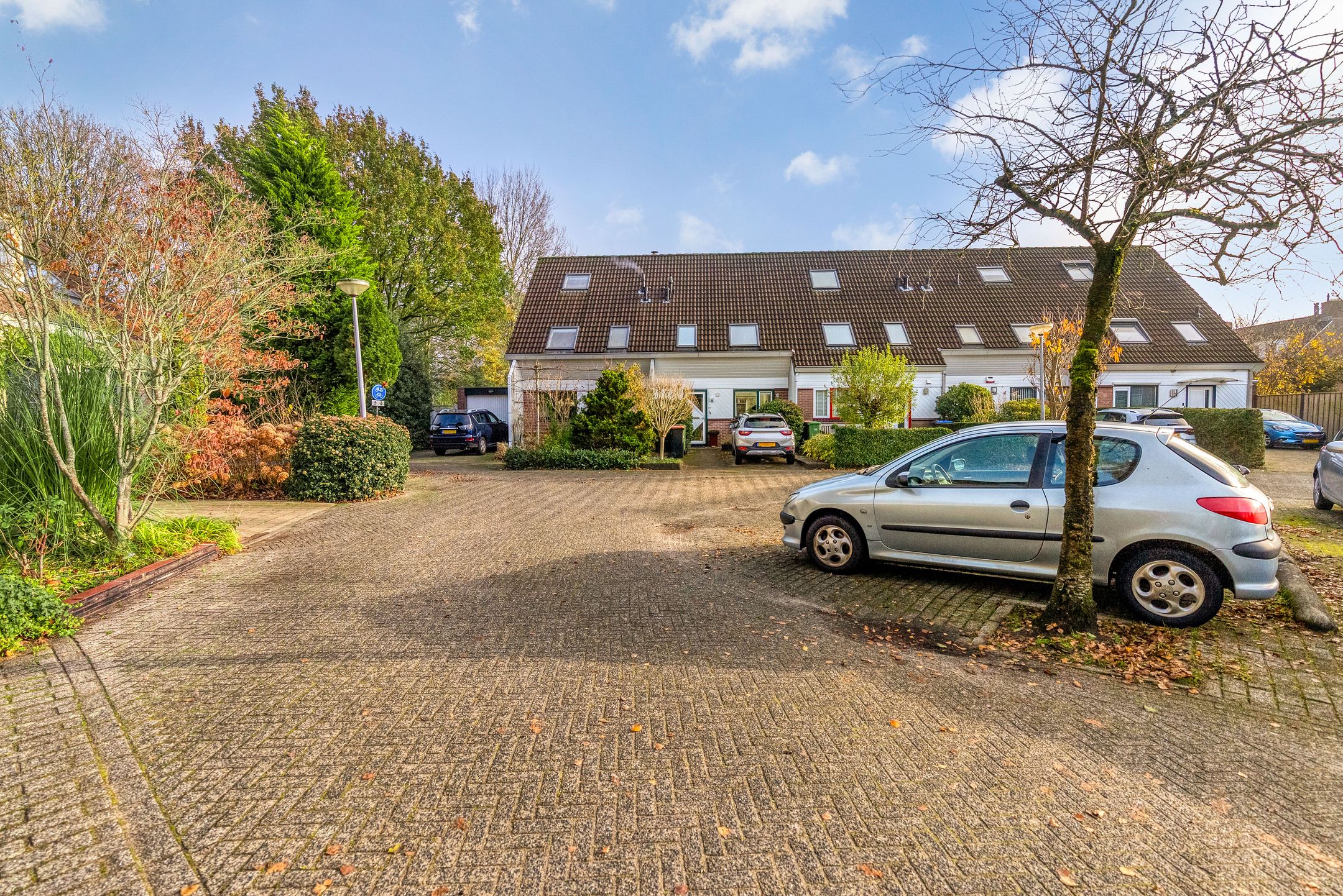 Foto 45 van Hagedis 27