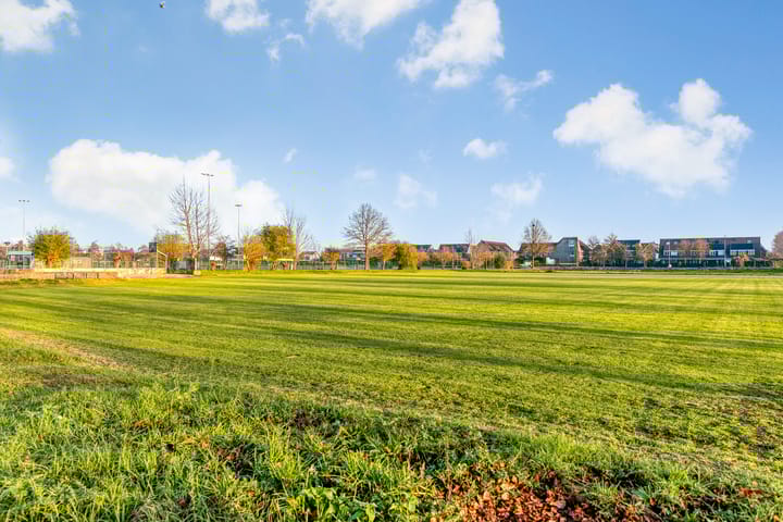 Foto 47 van Hagedis 27