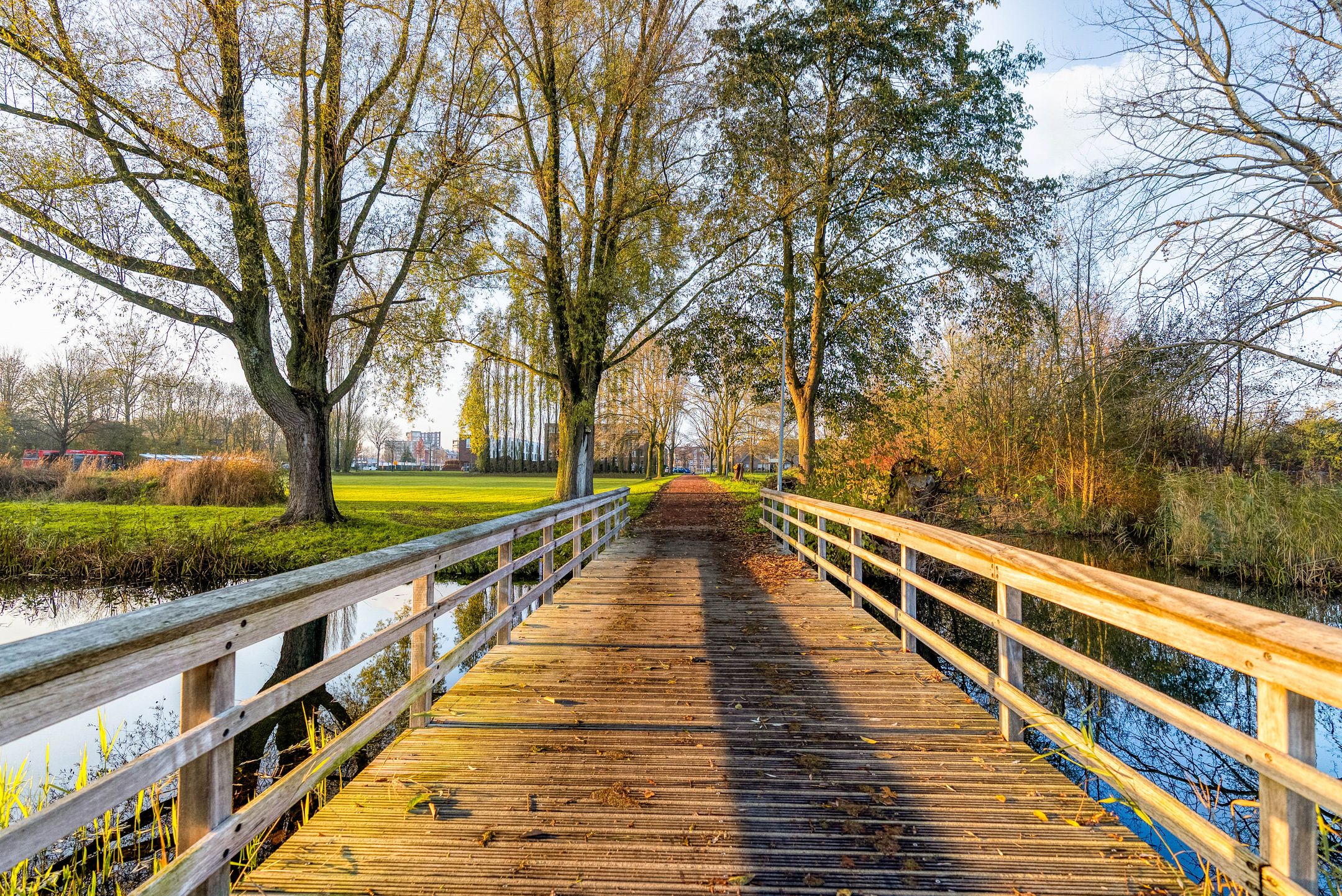 Foto 48 van Hagedis 27