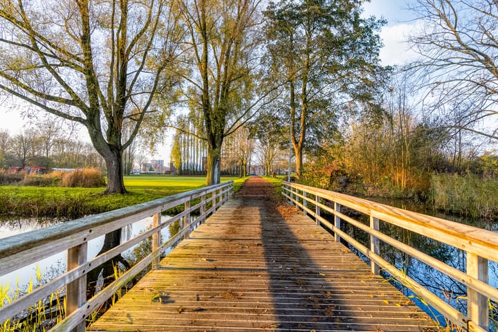 Foto 48 van Hagedis 27