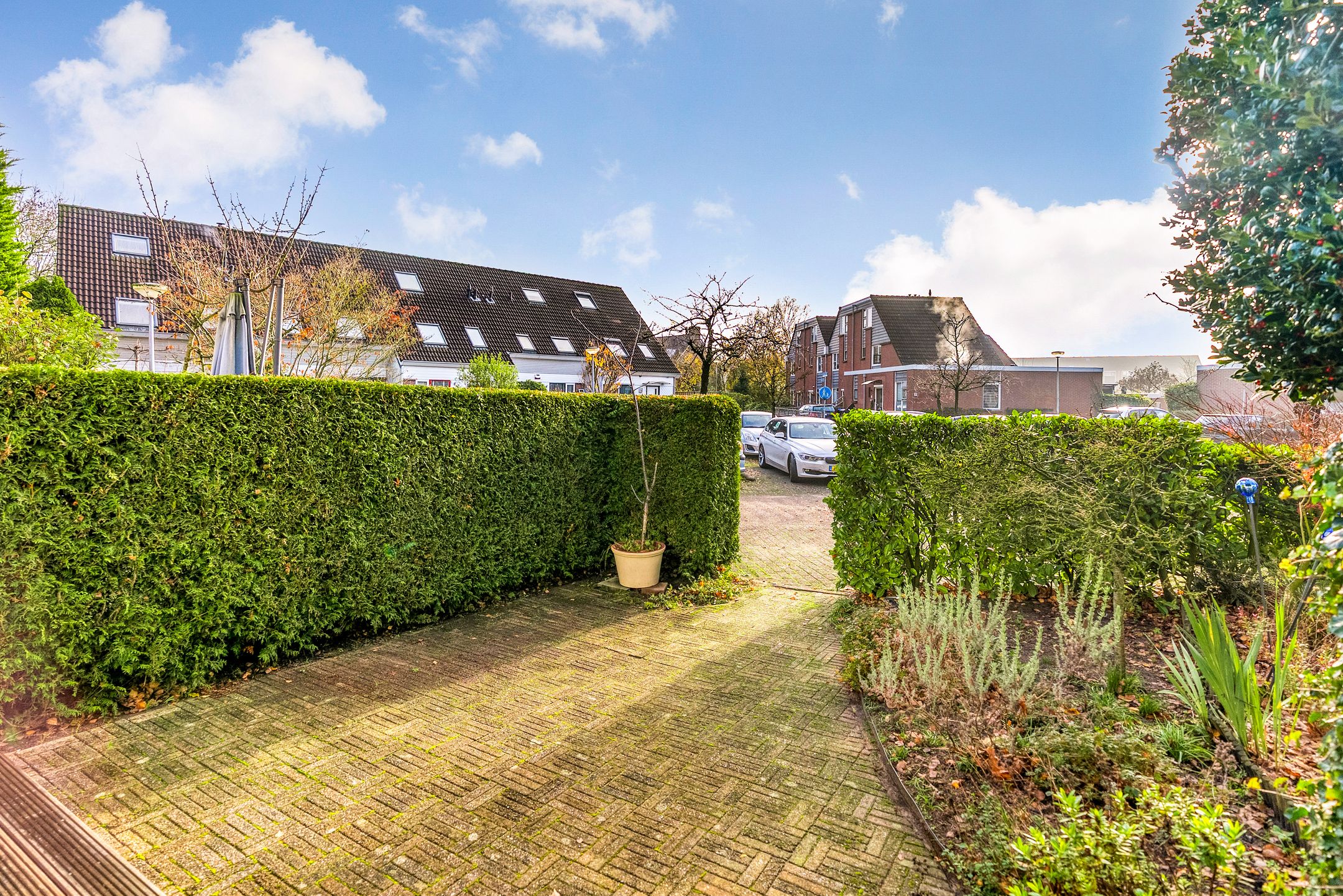 Foto 42 van Hagedis 27