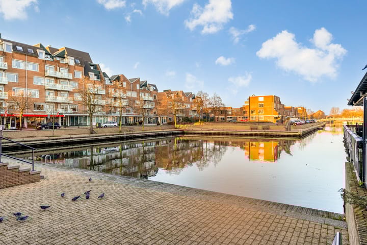 Foto 51 van Hagedis 27