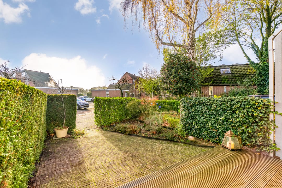 Foto 41 van Hagedis 27